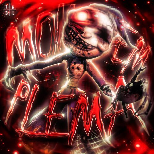 MONTAGEM PLEMA