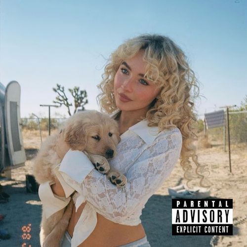 Man Is a Best Friend?