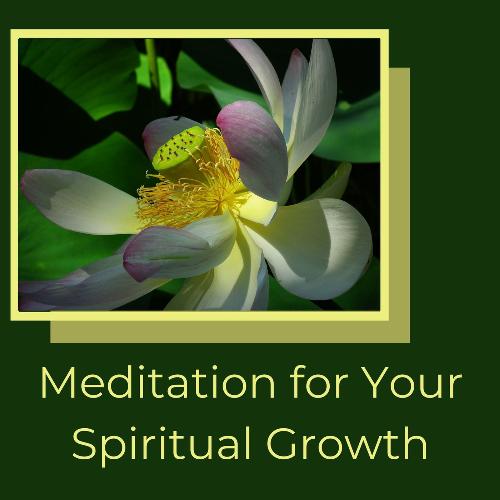 Meditation for Your Spiritual Growth