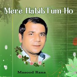 Mere Habib Tum Ho-Lx4RQAJyfmE