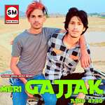 Meri Gajjak Ajru 4740