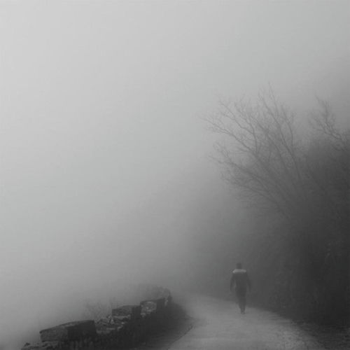 Milieu cover art