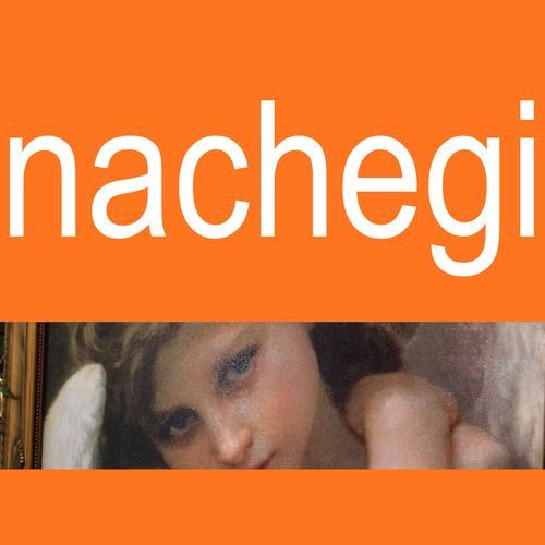 Nachegi