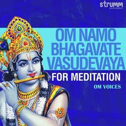 Om Namo Bhagavate Vasudevaya - for Meditation-Glk,HBpnZ0o