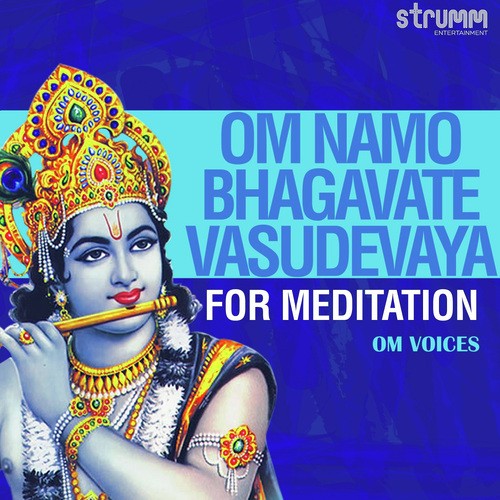 om namo bhagavate vasudevaya mantra lyrics
