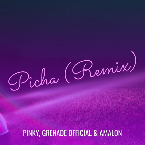 Picha (Remix)