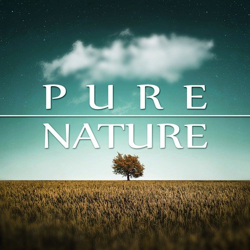 Pure Nature – Natural Harmony, Waves, Calm Music for Yoga, Massage Sounds, Spa Therapy, Nature Sounds, New Age