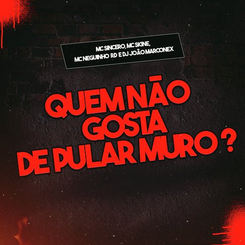 Quem Não Gosta de Pular Muro?_poster_image