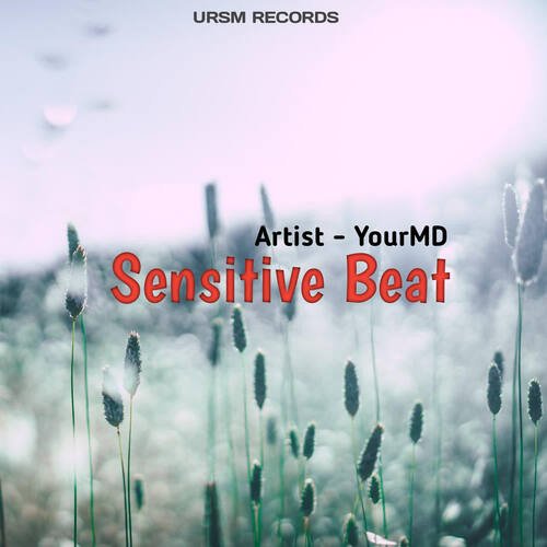 Sensitive Beat