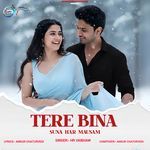 Tere Bina Suna Har Mausam