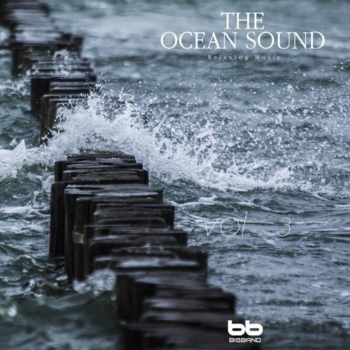 The Ocean Sound