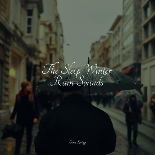 The Sleep Winter Rain Sounds