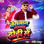 Vaisalin Lagad Dhodi Me