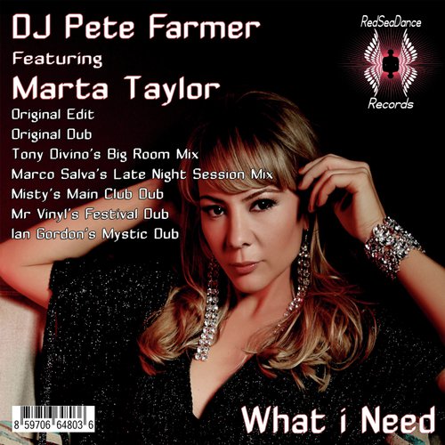 What I Need (Marco Salva's Late Night Session Mix) cover art