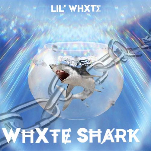 Whxte Shark