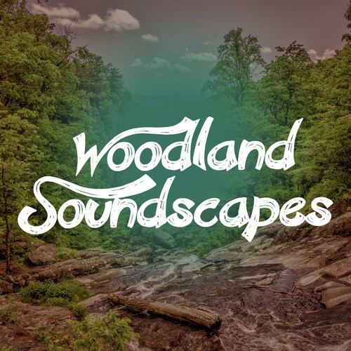 Woodland Soundscapes