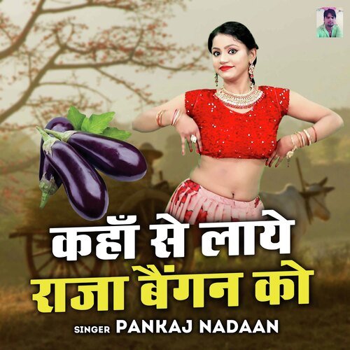 kahan Se Laye Raja Baingan Ko