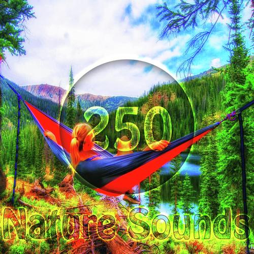 Fire Sound cover art
