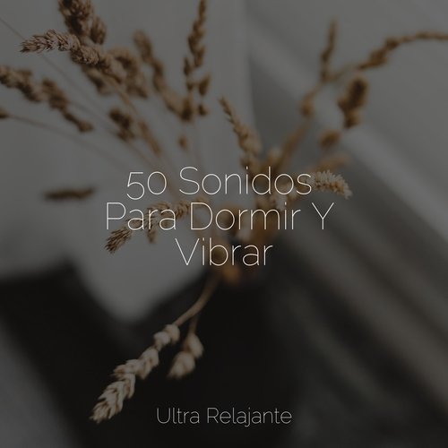 50 Sonidos Para Dormir Y Vibrar_poster_image