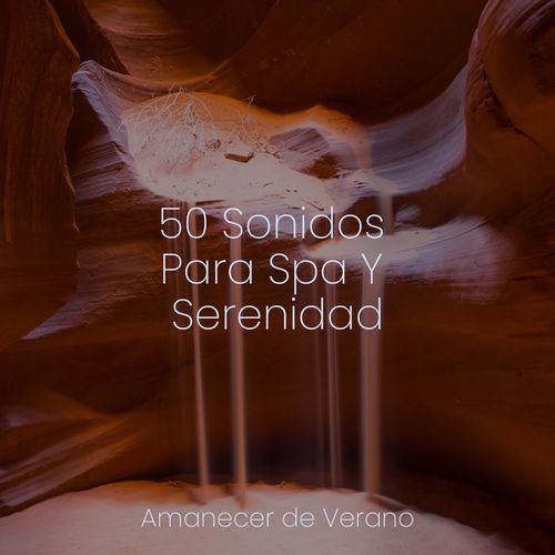 50 Sonidos Para Spa Y Serenidad