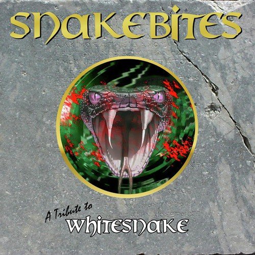 A Tribute to Whitesnake