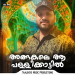 Angakale Aa Pallikkattil