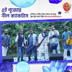 Asian Paints Colours of Pujo   Blue Song