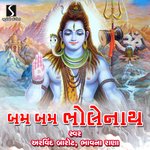Bam Bam Bholenath