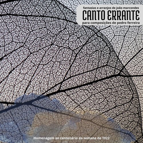 Canto Errante_poster_image