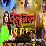 Delu Jakham Ye Ho Sanam