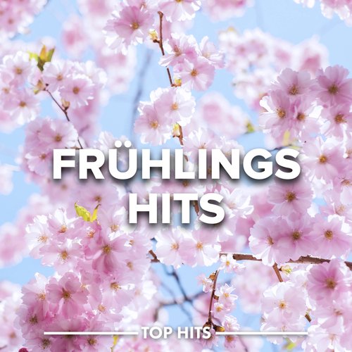 I'm Not Here To Make Friends