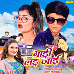 Gadi Lad Jai artwork