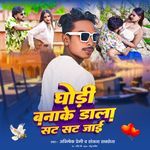 Ghodee Banake Dala Sat Sat Ja