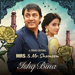 Ishq Bina (From &quot;Mrs. &amp; Mr. Shameem&quot;)-SSkkZgFZdAc