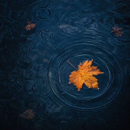 Pasilyo - Rain Version