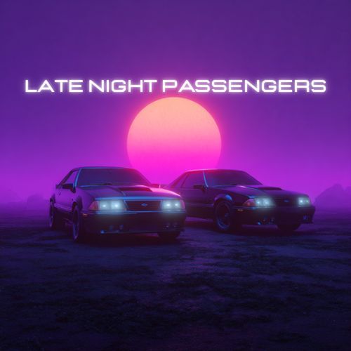 Night at the Disco cover art