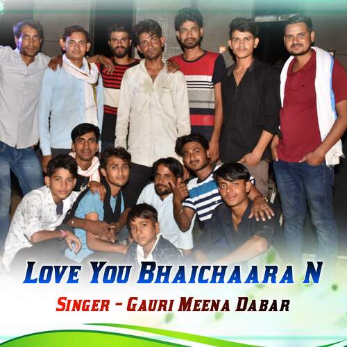 Love You Bhaichara N