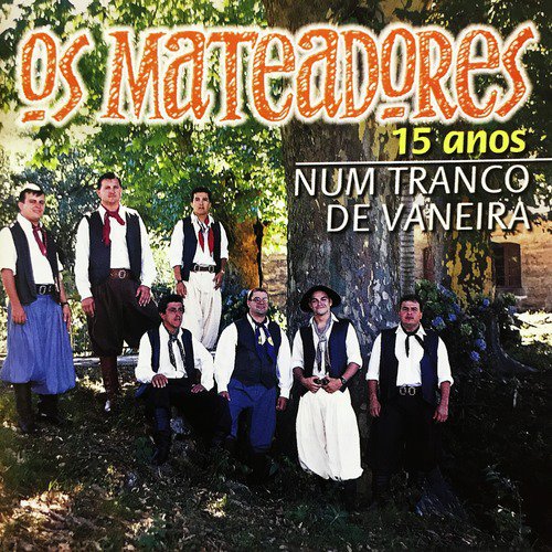 Num Tranco de Vaneira - 15 Anos_poster_image