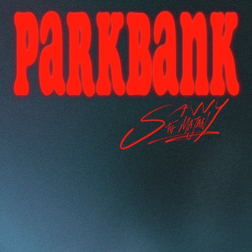 Parkbank_poster_image