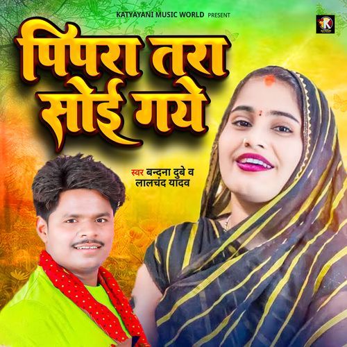 Pipra Tara Soi Gayo