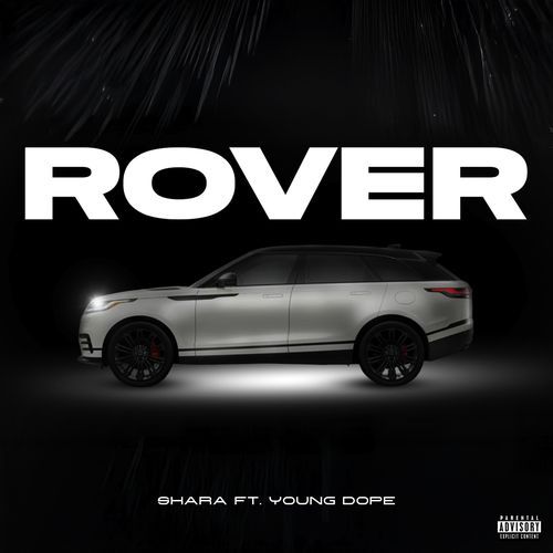 Rover