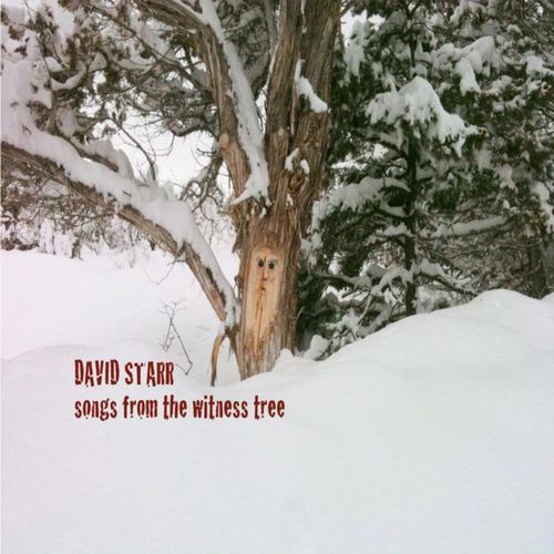 Songs From The Witness Tree