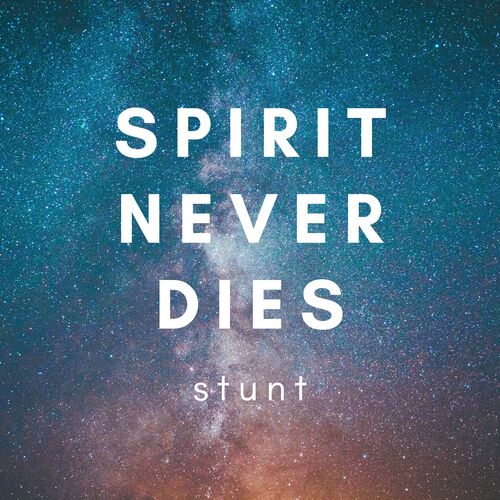 Spirit Never Dies_poster_image