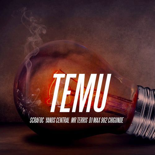 Temu cover art