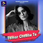 Tomar Chokhe Te