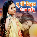 UP Bihar Me Chha Jaibu