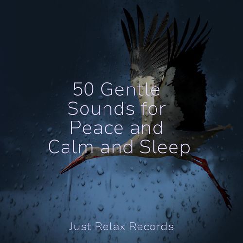 50 Gentle Sounds for Peace and Calm and Sleep