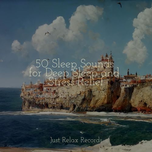 50 Sleep Sounds for Deep Sleep and Stress Relief