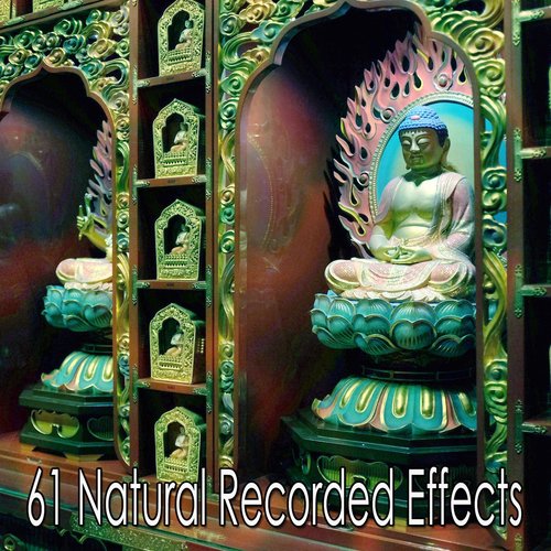 61 Natural Recorded Effects