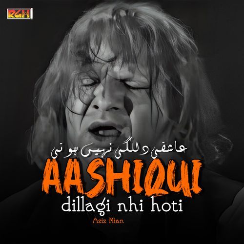 Aashiqui Dillagi Nhi Hoti